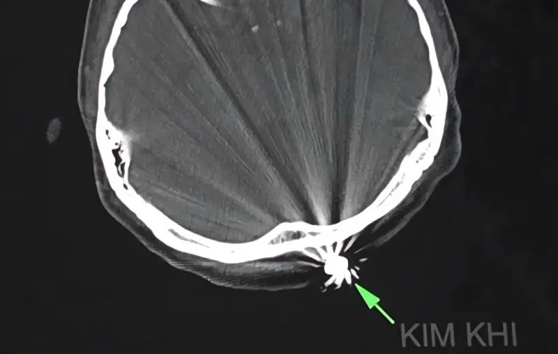 Đài PTTH Hà Nội